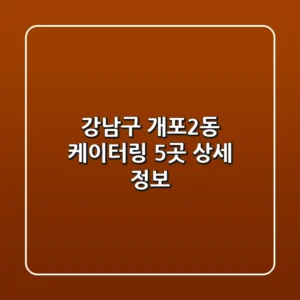 강남구 개포2동 케이터링 5곳 상세 정보