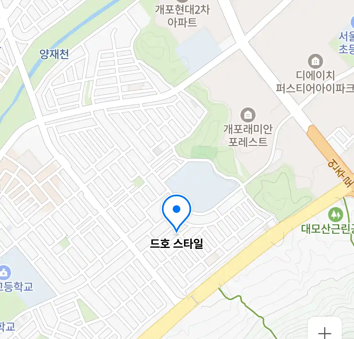 드호 스타일 지도