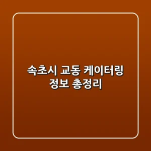 속초시 교동 케이터링 정보 총정리