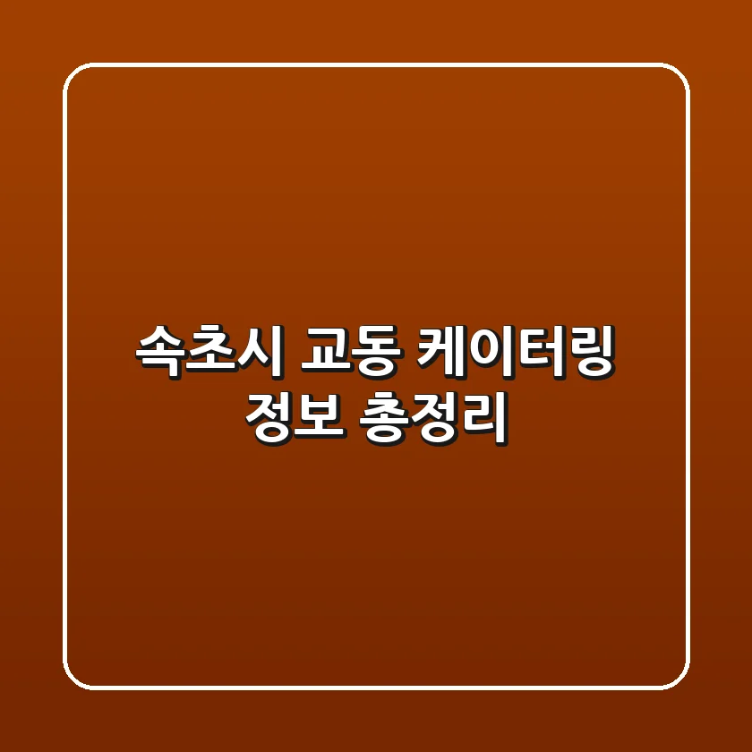 속초시 교동 케이터링 정보 총정리