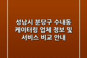 성남시 분당구 수내동 케이터링: 업체 정보 및 서비스 비교 안내