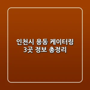 인천시 용동 케이터링 3곳 정보 총정리