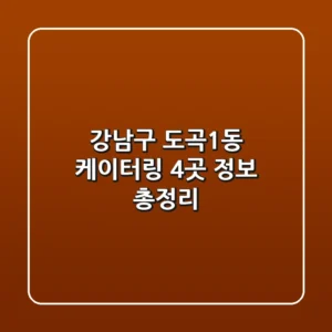 강남구 도곡1동 케이터링 4곳 정보 총정리