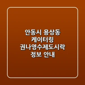 안동시 용상동 케이터링: 권나영수제도시락 정보 안내