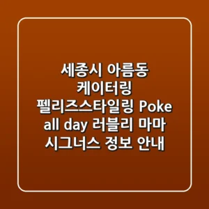 세종시 아름동 케이터링: 펠리즈스타일링, Poke all day, 러블리 마마, 시그너스 정보 안내
