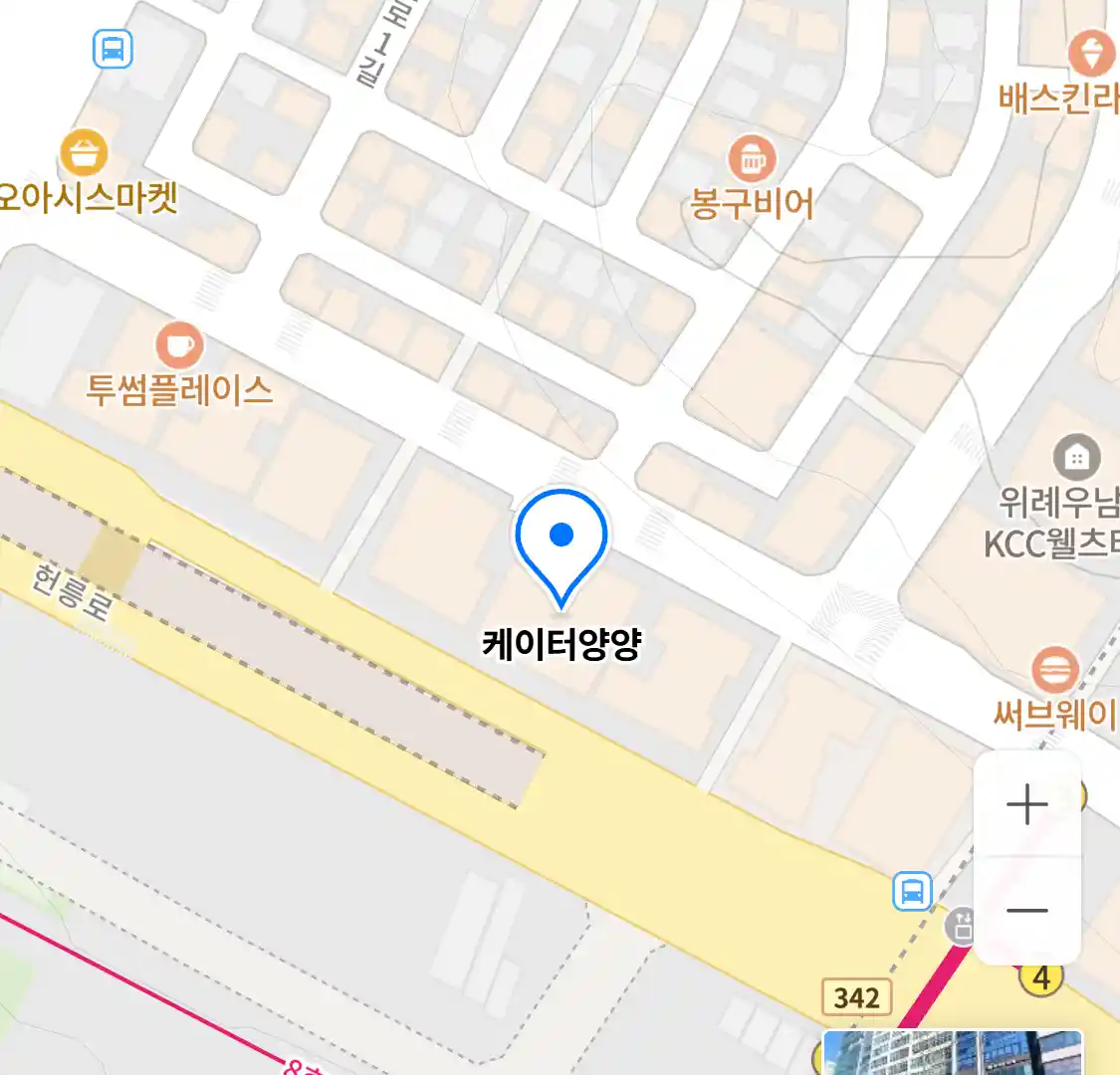 케이터양양 위치